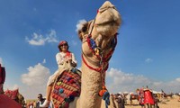 Bùng nổ tour quốc tế, lo ngại du lịch nội địa &apos;thua trên sân nhà&apos;