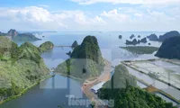 Cục trưởng Cục Di sản văn hóa lên tiếng vụ lấp vùng đệm vịnh Hạ Long làm biệt thự
