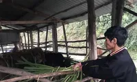 Gặp tỷ phú của người La Hủ ở Mường Tè