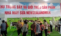 Hình ảnh buổi tham quan nhà máy sữa của công ty tại Bình Dương.