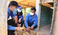 Tuổi trẻ Quảng Trị sôi nổi chiến dịch Hành quân xanh và Kỳ nghỉ hồng