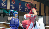 Hình ảnh ngày đầu tiên thi đấu môn Kickboxing tại SEA Games 31