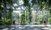 Dubai xây khách sạn rừng nhiệt đới hơn nửa tỷ đô