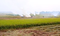 Khói rơm rạ bao phủ vùng ven Hà Nội