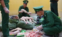Biên phòng Lào Cai nổ súng trấn áp đối tượng vận chuyển thực phẩm bẩn