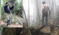 Theo chia sẻ của “phường săn”, để bán rắn được giá thì nhất thiết phải bắt sống (ảnh nhỏ). Để bắt được rắn độc có giá thành cao, các tay săn thường lùng sục ở các bụi rậm, hang hốc nơi rắn trú ngụ. Ảnh: Nhật Tân