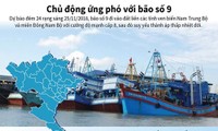 [Infographics] Các địa phương ứng phó với bão số 9 như thế nào?