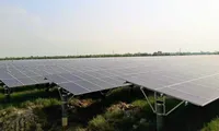 &apos;Sếu đầu đàn&apos; năng lượng sạch