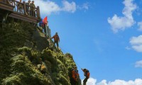 Chuyện giờ mới kể về đội quân treo mình nhặt rác trên đỉnh trời