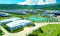 Nhà đầu tư tìm kiếm những cổ phiếu chuẩn bị tốt cho chu kỳ tăng trưởng mới như Vinamilk