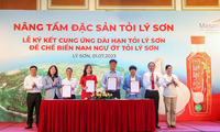 Đặc sản tỏi nổi tiếng Lý Sơn chính thức có mặt trong nước mắm Nam Ngư ớt tỏi Lý Sơn