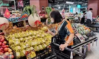 Xuất khẩu nông sản năm 2024 nhiều triển vọng, Kế toán Anpha cùng đồng hành