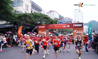 Giải chạy Fastestx Cát Bà Amatina - Chạy giữa kỳ quan