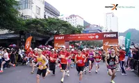 Giải chạy Fastestx Cát Bà Amatina - Chạy giữa kỳ quan