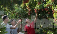 Bắc Giang xây dựng nông thôn mới ở xã đặc biệt khó khăn