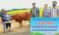 Tây Ninh thành công trong Chương trình giảm nghèo bền vững
