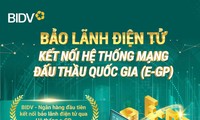 Sử dụng dịch vụ bảo lãnh dự thầu điện tử tại BIDV nhận ưu đãi hấp dẫn