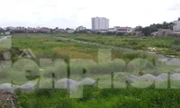 Khách hàng điêu đứng vì loạt dự án BĐS ở Bình Dương giao dịch mập mờ 