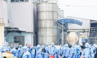 Giải pháp nào để chặn dịch chững lại ở &apos;điểm nóng&apos; Bình Dương?