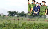 Vẽ dự án ‘ma’ lừa người dân rồi giả điên trước tòa, giám đốc công ty bị phạt 28 năm tù