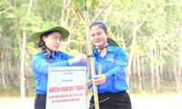 Trồng mới 1 triệu cây xanh &apos;Vì một Bình Dương xanh&apos;