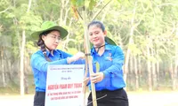 Trồng mới 1 triệu cây xanh &apos;Vì một Bình Dương xanh&apos;