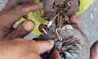 Vật nhọn kim loại &apos;lạ&apos; trên đường ở Bình Dương: Vài cây số đã hút được hơn 60kg