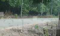 Khởi tố vụ án liên quan sai phạm quản lý sử dụng khu đất công gần 530 ha ở Bình Dương