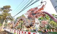 Ngắm ‘đệ nhất song long’ Bình Dương đang làm thủ tục xác lập kỷ lục Việt Nam
