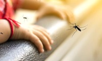 Bé trai 7 tuổi tử vong do sốt xuất huyết Dengue 