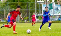 Bình Dương tổ chức giải bóng đá cuối cùng với kỷ lục gần 200 đội tham gia thi đấu