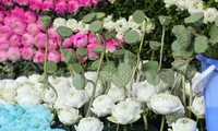 Độc đáo tác phẩm kết từ 10.000 bông sen, lớn nhất từ trước tới nay