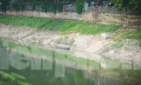 Nước sông Tô Lịch chuyển màu xanh lạ mắt