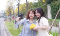 Giới trẻ Hà thành thích thú check in ở đường hoa phong linh nở vàng