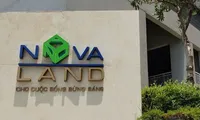 Hơn 100 triệu cổ phiếu Novaland &apos;đổi chủ&apos;