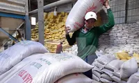 Xuất khẩu gạo Việt Nam có thể vượt 6,5 triệu tấn 