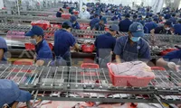 Xuất khẩu cá tra sang Mexico tăng trưởng ấn tượng
