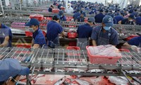 Xuất khẩu thủy sản năm mới có sáng hơn?