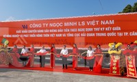 Cần Thơ xuất khẩu 18 tấn sầu riêng chính ngạch đầu tiên sang Trung Quốc