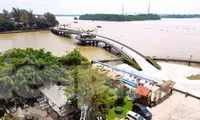 Cần Thơ: Chuyển cơ quan công an 16 hồ sơ có dấu hiệu trốn thuế
