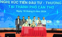 Cần Thơ &apos;bắt tay&apos; Thủ Đức, Thanh Hóa xúc tiến đầu tư