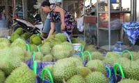 Xuất khẩu nông sản dự kiến đạt kỷ lục 62 tỷ USD