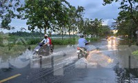 Rà soát gói thầu dự án vốn ODA &apos;cài số lùi&apos;