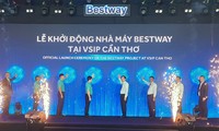 Khu công nghiệp lớn nhất Cần Thơ có nhà máy đầu tiên, vốn 300 triệu USD
