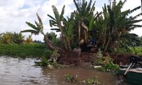 Trà Vinh công bố tình huống khẩn cấp sạt lở Cồn Hô