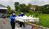 Bạn trẻ thể hiện hình ảnh đẹp của chiến sĩ tình nguyện