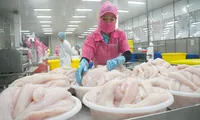 Xuất khẩu cá tra thu về hơn 1,5 tỷ USD