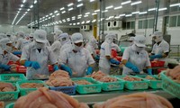 Mỹ trở lại là thị trường số 1 của xuất khẩu cá tra Việt Nam