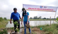 Cần Thơ đồng loạt tổ chức 11 hoạt động ra quân Tháng Thanh niên năm 2021