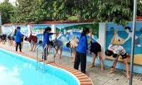 Tuổi trẻ Thanh Hoá dạy bơi miễn phí, tái chế lốp xe và chai nhựa thành phao cứu sinh